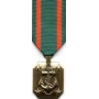 Large Navy/Marine Achievement Medal