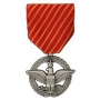 Large Air Forces Combat Action Medal