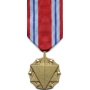 Large Combat Readiness Medal