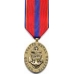 Large Navy Reserve Meritorious Service Achievement Medal