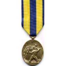 Large Navy Expeditionary Medal