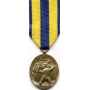 Large Navy Expeditionary Medal