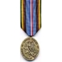 Large Armed Forces Expedition Medal