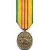 Large Vietnam Service Medal