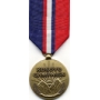 Large Kosovo Campaign Medal