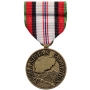 Large Afghanistan Campaign Medal