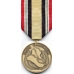 Large Iraq Campaign Medal