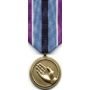 Large Humanitarian Service Medal