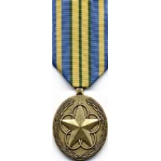Large Outstanding Volunteer Service Medal