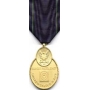 Large Navy Pistol Expert Medal