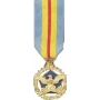 Mini Defense Distinguished Service Medal