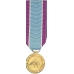 Mini Coast Guard Distinguished Service Medal