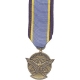 Mini Aerial Achievement Medal