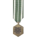 Mini Coast Guard Commendation Medal