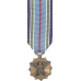 2nd Mini Joint Service Achievement Medal