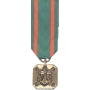 Mini Navy/Marine Achievement Medal