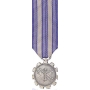 Mini Space Forces Achievement Medal