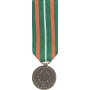 Mini Coast Guard Achievement Medal