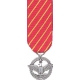 Mini Air Forces Combat Action Medal