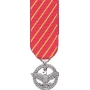 Mini Air Forces Combat Action Medal
