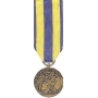Mini Navy Expeditionary Medal