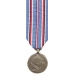 Mini American Campaign Medal