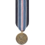 Mini Medal for Humane Action Medal