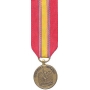 Mini National Defense Service Medal