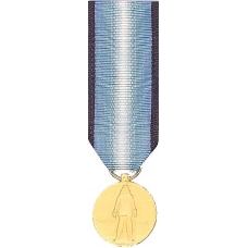 Mini Antarctica Service Medal