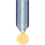 Mini Antarctica Service Medal