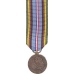 Mini Armed Forces Expedition Medal