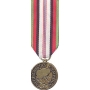 Mini Afghanistan Campaign Medal