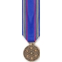 Mini Nuclear Deterrence Operations Service Medal