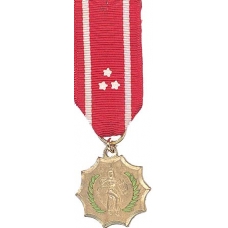 Mini Philippine Defense Medal
