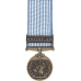 Mini United Nations Service Medal (Korea)Medal