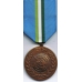 Mini UN Security Forces Hollandia Medal