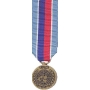 Mini UN Mission in Haiti Medal