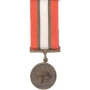 Mini Multinational Force/Observer Medal
