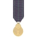 Mini Navy Rifle Expert Medal