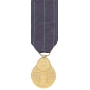 Mini Navy Rifle Expert Medal