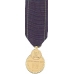 Mini Navy Pistol Expert Medal