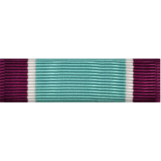 Coast Guard Distinguished Service Ribbon