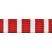 Florida Cross Ribbon